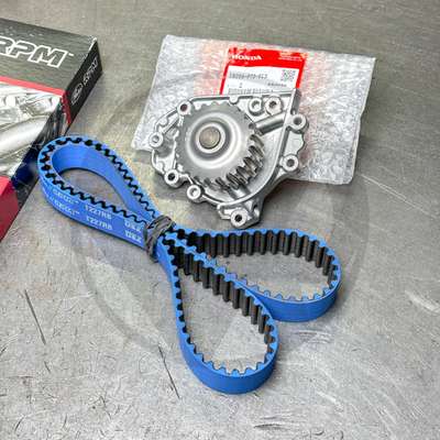T227RB Timing Belt image 11