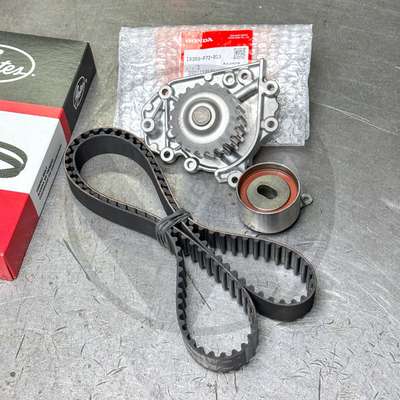 T247 Timing Belt Kit